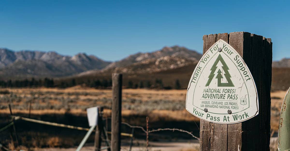 How to Get Your California NMLS License: A TC’s Guide
