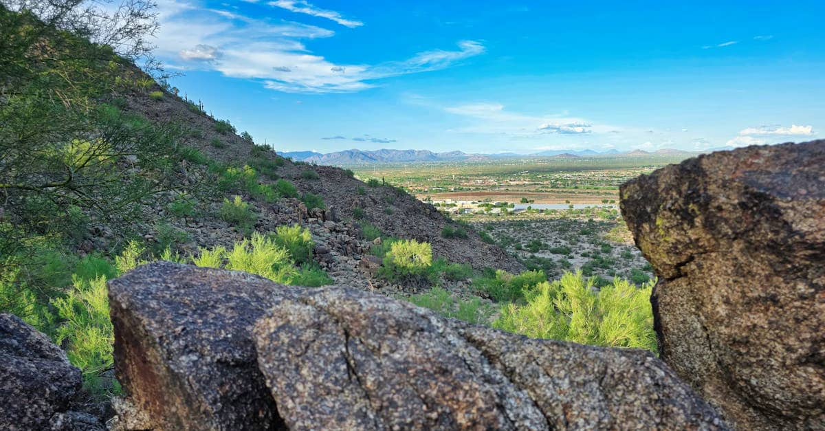 Navigate HOA Disclosure Requirements Arizona with Confidence